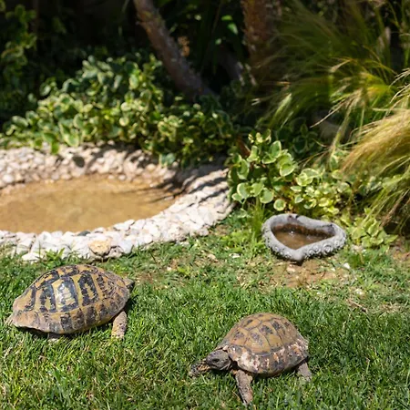 Sunny Garden A2 Apartment *