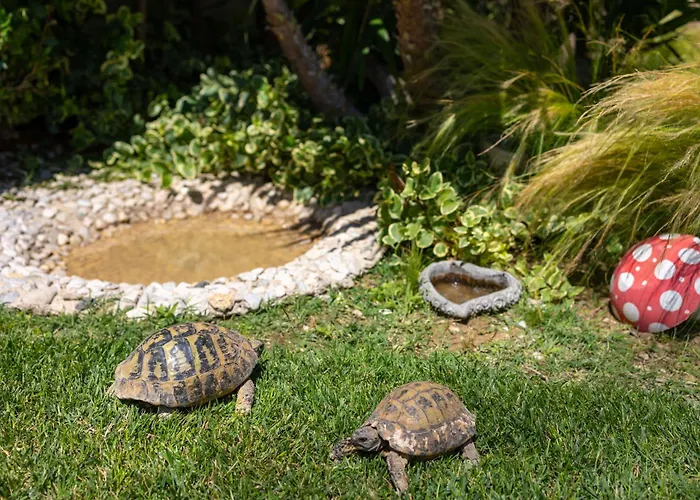 Sunny Garden A2 公寓 *